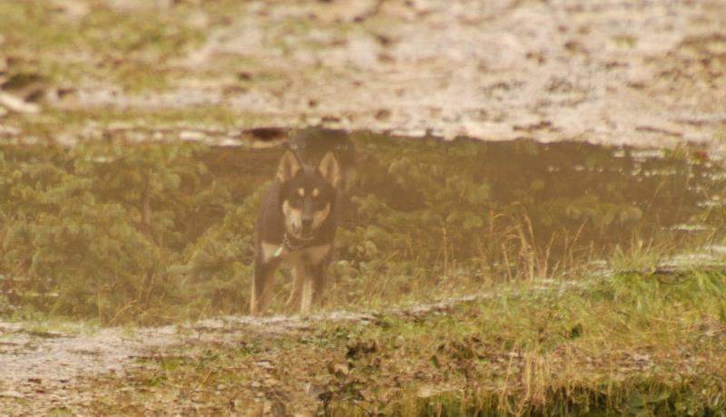 04Sika0057