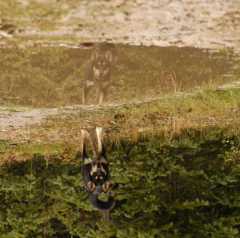 04Sika0057
