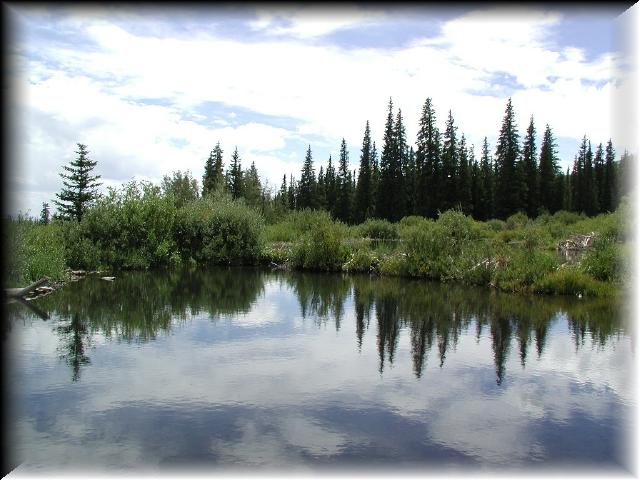 BeaverPond