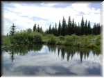 BeaverPond
