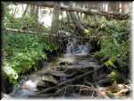 Greenery3