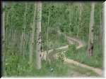 KenoshaPassGreenery