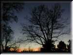 Washparkshadows002