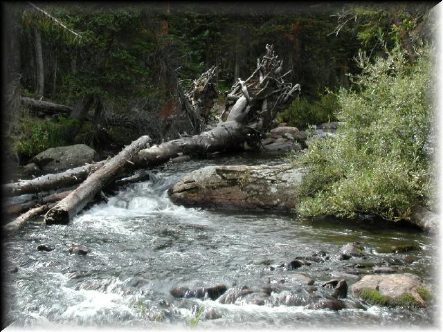 SouthStVrainCreek2