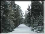 Snowyroad