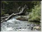 SouthStVrainCreek2