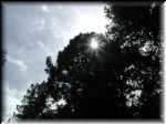 Sunlight