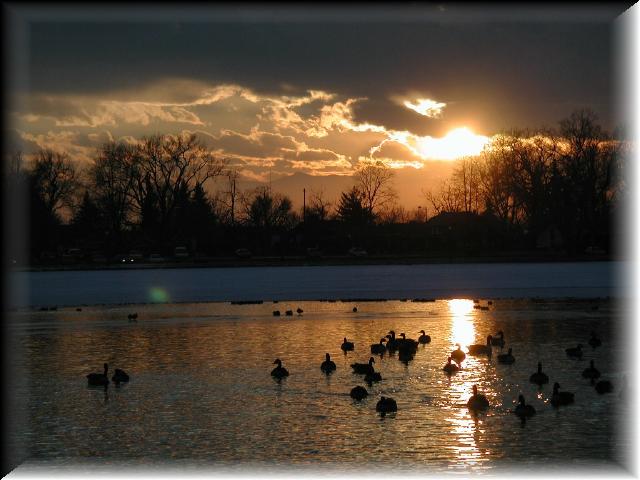 WashParkBirds