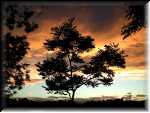 WashParkSilhouette