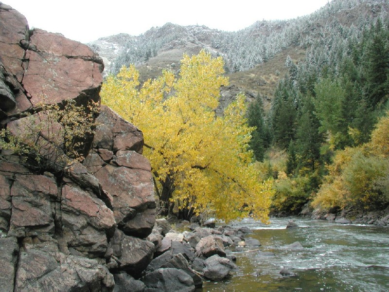 ClearCreekContrast