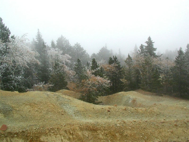 tailingsinfog@1x7