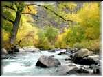 ClearCreekWading2