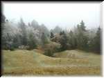 tailingsinfog@1x7