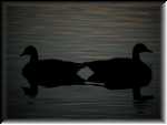 GooseSilhouette0288