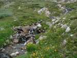 BuckskinCreek_370