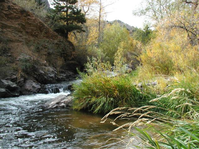 BearCreek_020ph