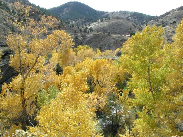 BearCreek_031ph