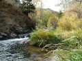BearCreek_020ph