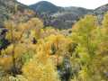 BearCreek_031ph