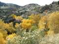 BearCreek_033ph