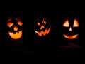 Pumpkins01_11