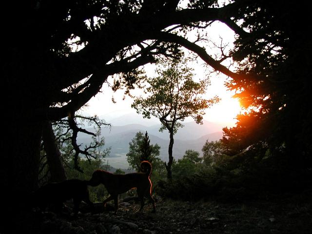 Framed_Sunset