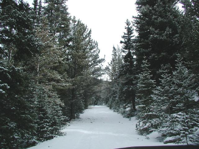 SnowyRoad