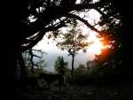 Framed_Sunset
