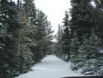 SnowyRoad
