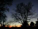 WashParkSilhouette002