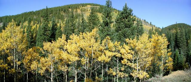 092301FallColorPano4c