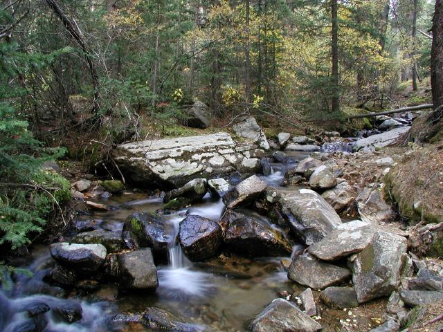 092301FallColor_836