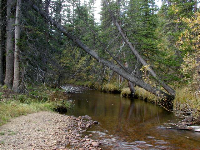 092301FallColor_873