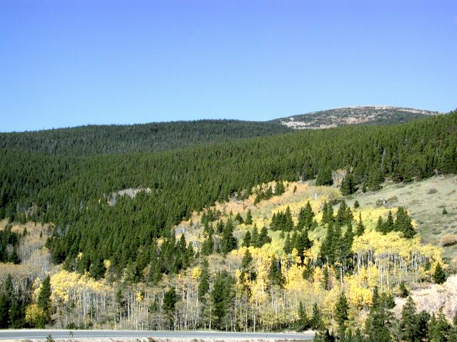 092301FallColora_14