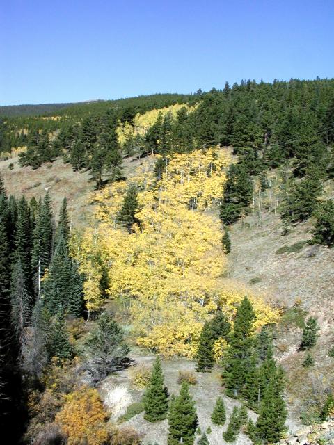 092301FallColora_17r