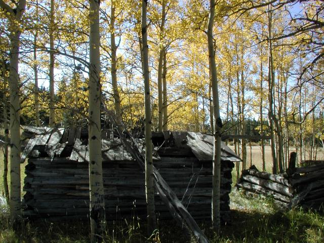 092301FallColora_21