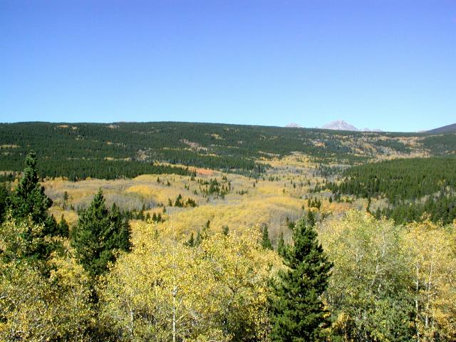 092301FallColora_24