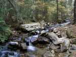 092301FallColor_836