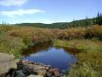 092301FallColor_856