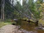 092301FallColor_873
