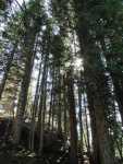 092301FallColor_900r