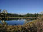 092301FallColora_05