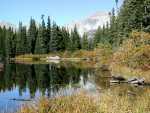 092301FallColora_888