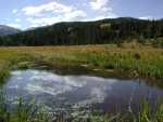 092301FallColorc_14
