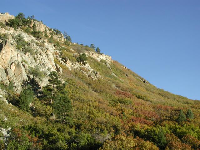 RBPark_173