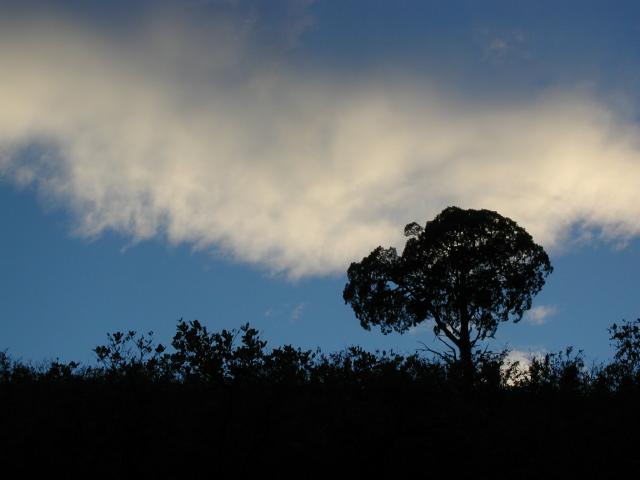 RBPark_175