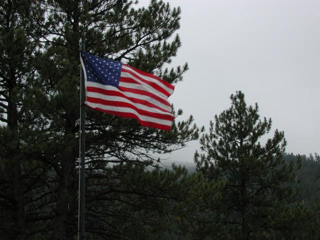 USFlag_29