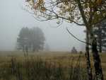 Fog_16