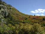 RBPark_106