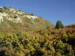 RBPark_164